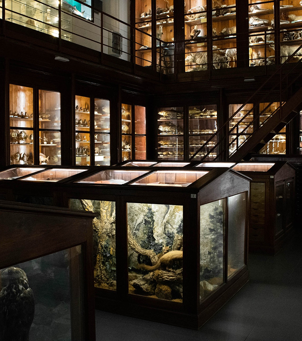 Museums Museums